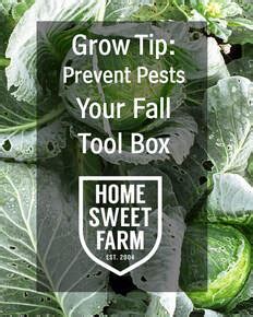 Image result for Pests Controls Tool Box