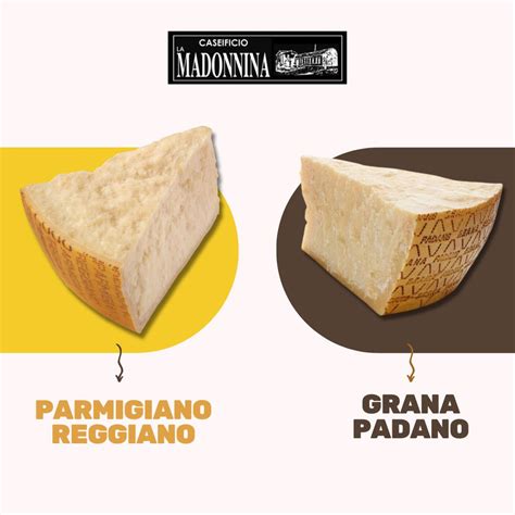 Parmigiano Reggiano, Grana Padano, Pecorino Romano – WDLO