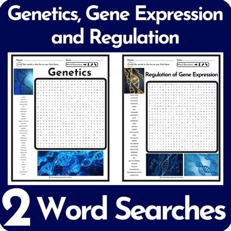 Genetics, Gene Expression and Regulation Word Search Puzzle BUNDLE
