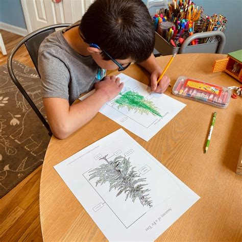 Image result for Peter Rabbit Spring