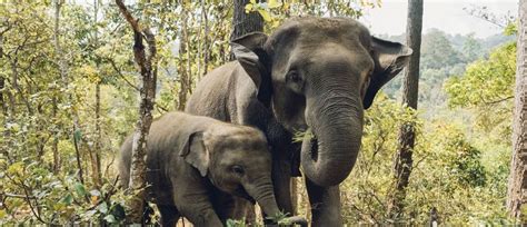 3 Great Places to Visit Near Pobitora Wildlife Sanctuary