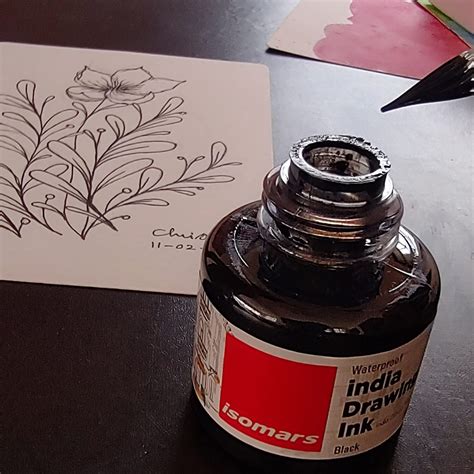 Isomars India Waterproof Drawing Ink 35ml - Black : Amazon.in: Home ...