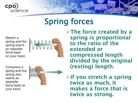 Image result for Forces On a Spring