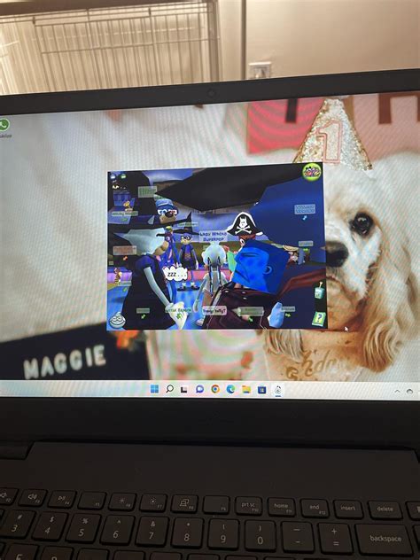 Image result for Bimmercode Full