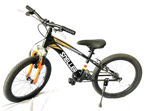 Road Master RACER1.1-20" Fat Tyre Mountain Racing Bike for Kids and ...