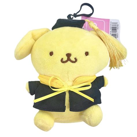 LOST GRADUATION POMPOM PLUSH 💔 : r/UCI