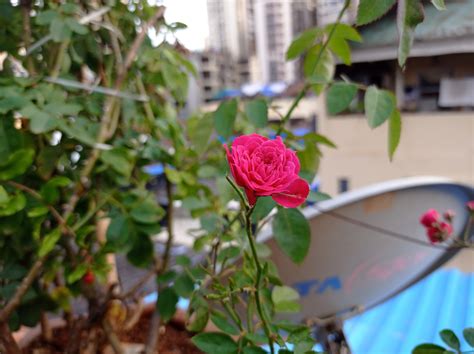 Redmi Note 9 Review: A Note For The Not-So-Heavy Users