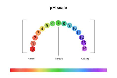 Page 5 | Cfg scale 10 Images - Free Download on Freepik