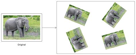 Image Rotation Tutorial 的图像结果