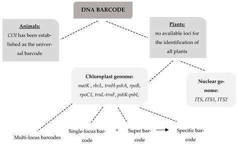 DNA Barcoding Library 的图像结果