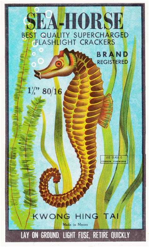 Image result for Firework Labels