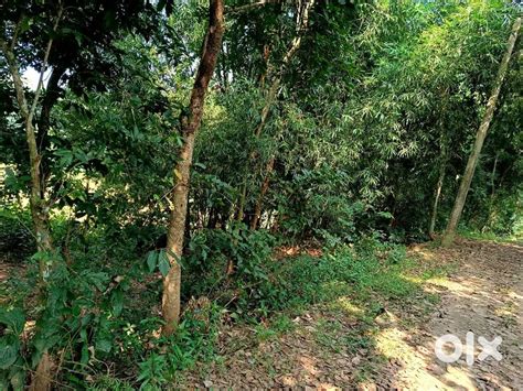 জায়গায় বড় গাড়ি ছুট গাড়ি যাওয়ার সু ব্যবস্থা আছে । - Lands & Plots ...