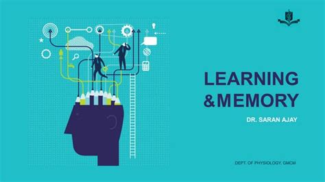 Image result for Learning vs Memory