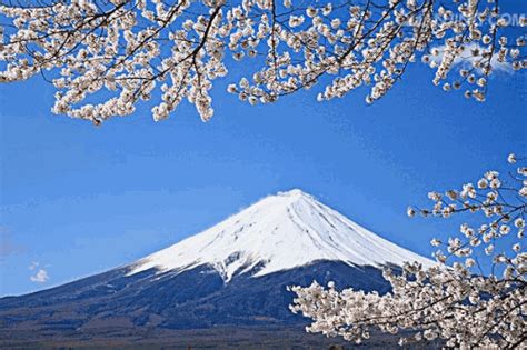 日本签证新政：1月4日起，无需任何财产，就给3年visa!