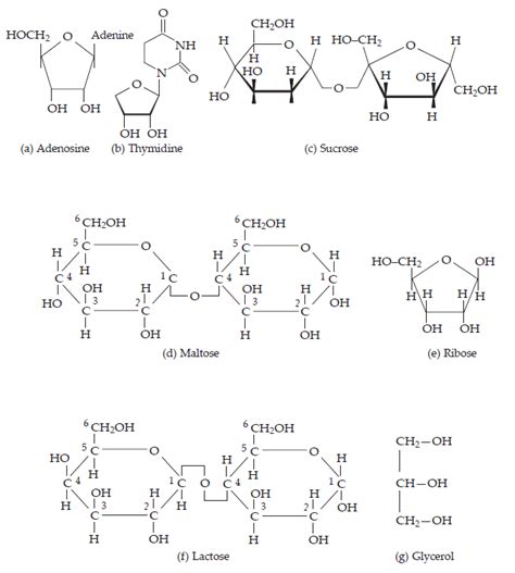 NCERT Solutions for Class 11 Biology Chapter 9 Biomolecules