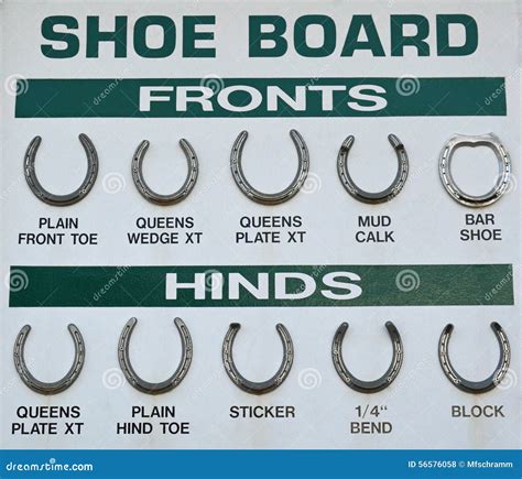 Horse Shoe Board stock photo. Image of horseshoes, board - 56576058