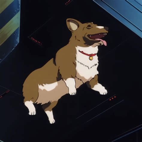 cowboy bebop | Cowboy bebop, Cowboy bebop anime, Ein cowboy bebop