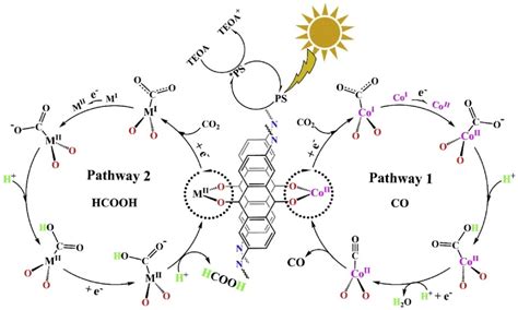 Covalent Organic Frameworks: A Promising Materials Platform for ...