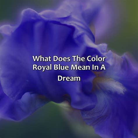 What Does The Color Royal Blue Mean In A Dream at Pamela Cerda blog