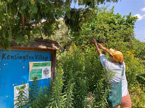The Edible Neighbourhood Tour, 136 Cavendish Cres, London, ON N6H 1A4 ...