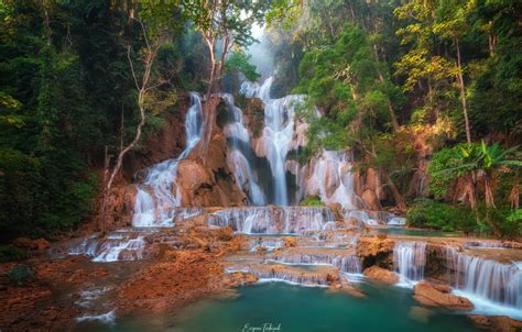 Wallpaper Waterfall, Trees, Jungle, Laos, The beauty of nature, Evgeni ...