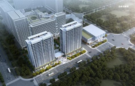 杭州人才公寓项目1号-8号楼通过主体验收