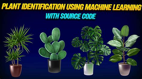 Data Science Code 的图像结果