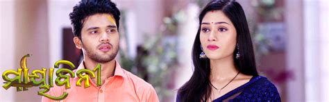 Watch New Mega serial "Mayabini" EP-178 | 11th May 2023 | Tarang Plus