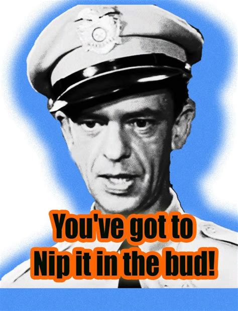 Andy Griffith Barney Fife Nip It in the Bud 1 T-shirt - Etsy