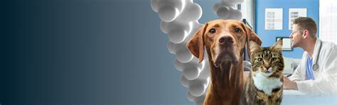 Purina Institute | Advancing science for pet health