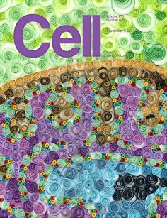 Cell封面高清 的图像结果