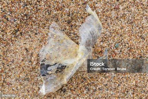 Alien Invasion Beach 的图像结果