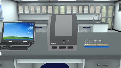 PCR Virtual Lab 的图像结果