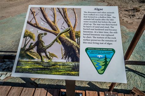 Mill Canyon Dinosaur Tracksite & Fossil Trail in Utah - We Love to Explore