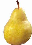 pear 的图像结果