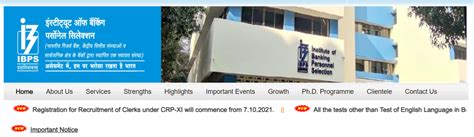 IBPS Clerk 2021: Official Updates About IBPS Clerk