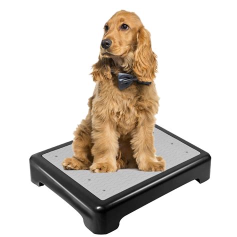 What Does Stand For Dog