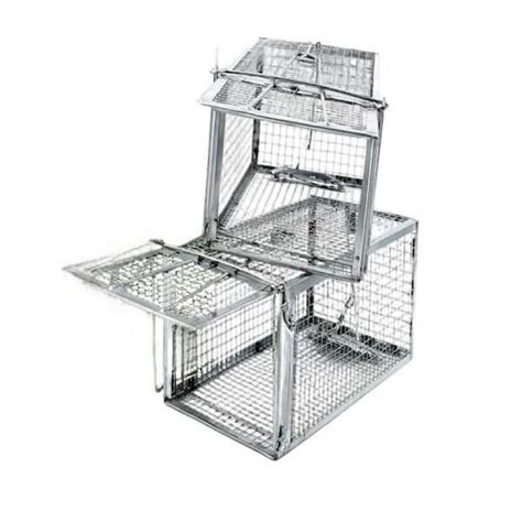 Traps for Chipmunks Home Depot 的图像结果