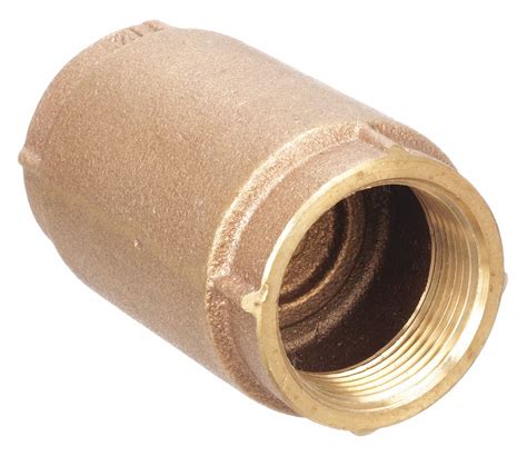 Image result for 1 Inline Check Valve Spring Loaded