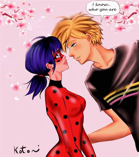 Ladybug Amor 的图像结果