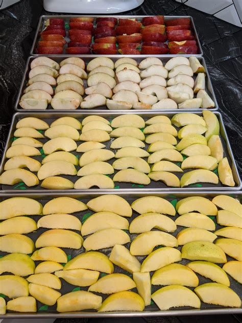 How to freeze dry apples – Artofit