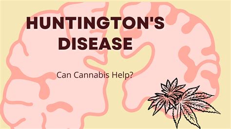 Huntington S Disease New drug offers hope for treating Huntington's disease ...