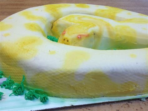 Image result for Python Snackes