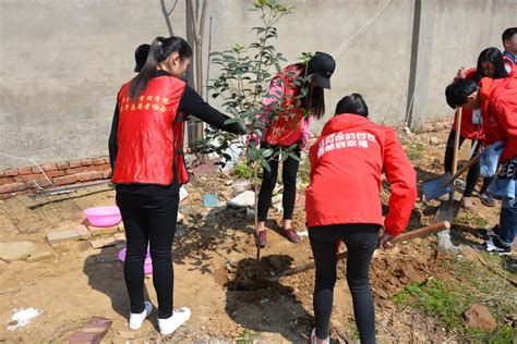 “种植绿色，情系师生”徐浦小学植树节活动 - 内容 - 徐浦小学信息网