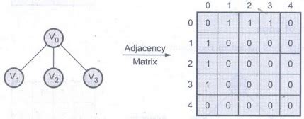 Elementary Graph Operations in Data Structures 的图像结果