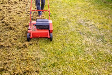 Is Dethatching good or bad for your lawn?