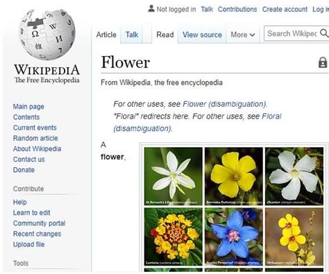 Image result for Href in JavaScript Function