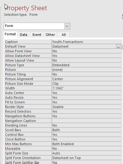 Data Sheet View in Access Database Form 的图像结果