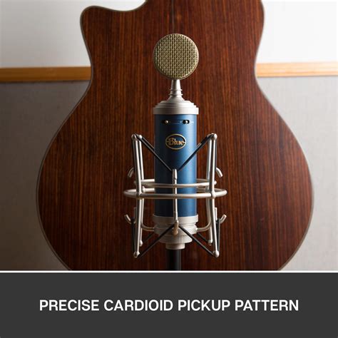 Blue Microphone Bluebird Sl Xlrcardioid Condenser Microphone For ...