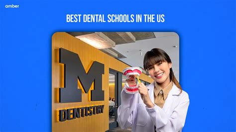 Discover 10 Best Dental Schools In The US In 2024 | Amber